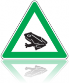 frosch_0